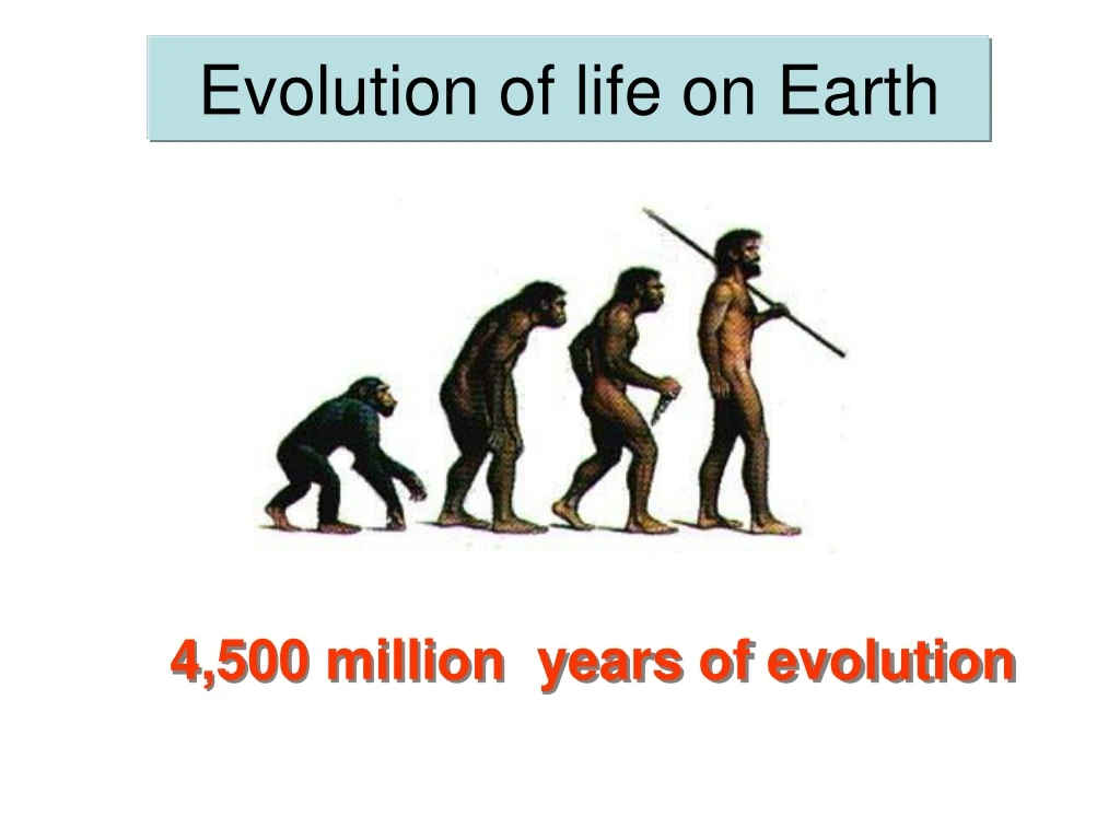 evolution of life on earth