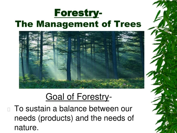 Forestry - The Management of Trees