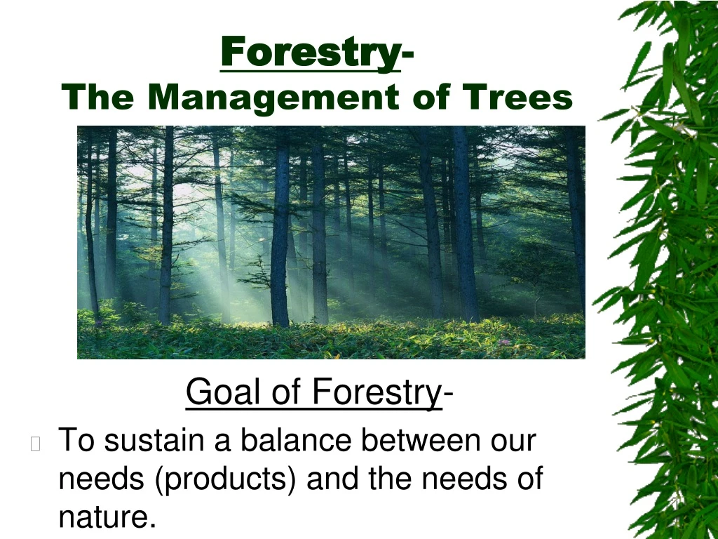 forestry the management of trees