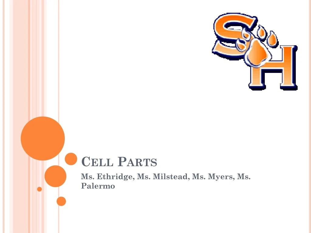 cell parts