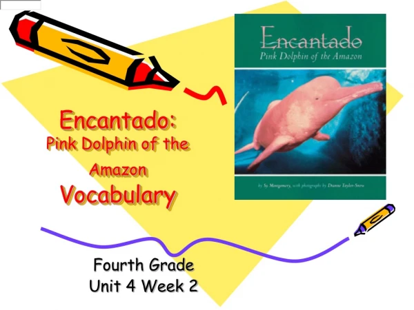 Encantado:  Pink Dolphin of the Amazon Vocabulary