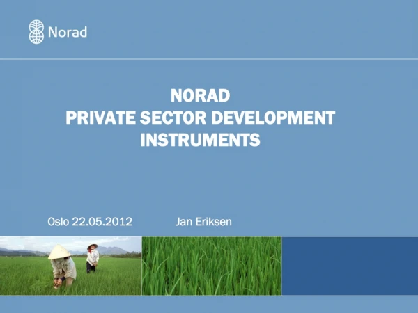 NORAD PRIVATE SECTOR DEVELOPMENT INSTRUMENTS