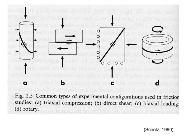 (Scholz, 1990)