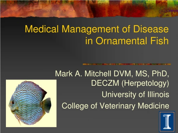 Medical Management of Disease in Ornamental Fish