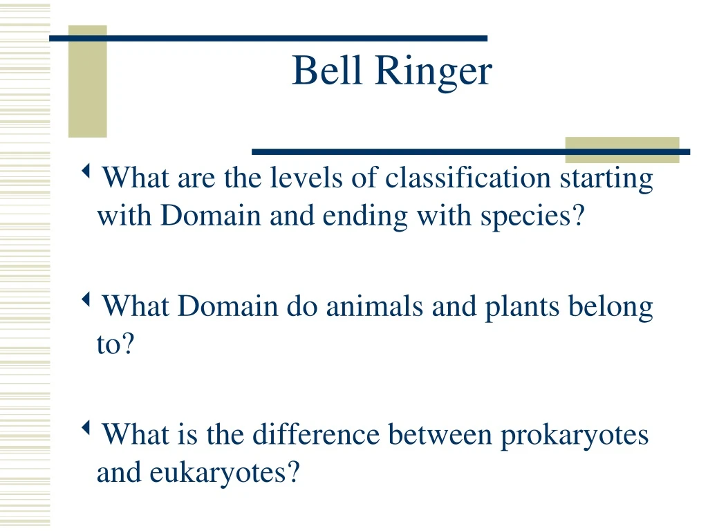 bell ringer
