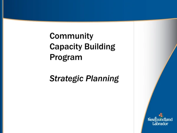 Community Capacity Building Program Strategic Planning