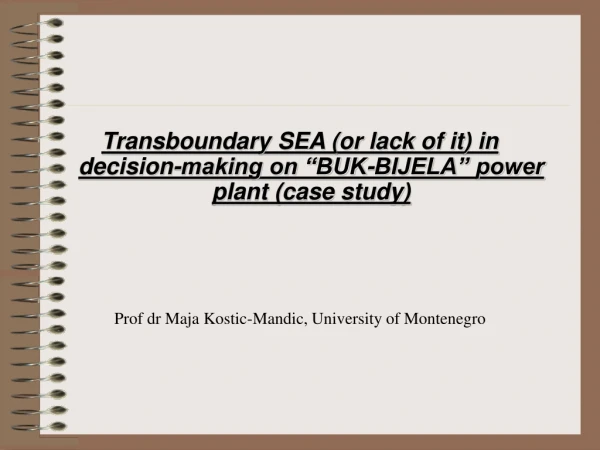 Transboundary SEA (or lack of it) in decision-making on “BUK-BIJELA” power plant (case study)