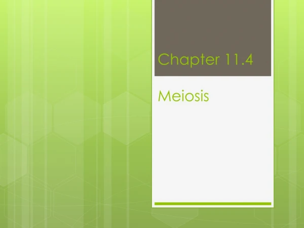 Chapter 11.4 Meiosis