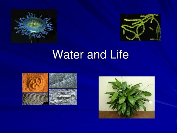 Water and Life