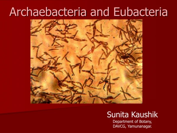 Archaebacteria  and  Eubacteria