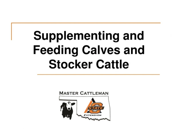 Supplementing and Feeding Calves and Stocker Cattle