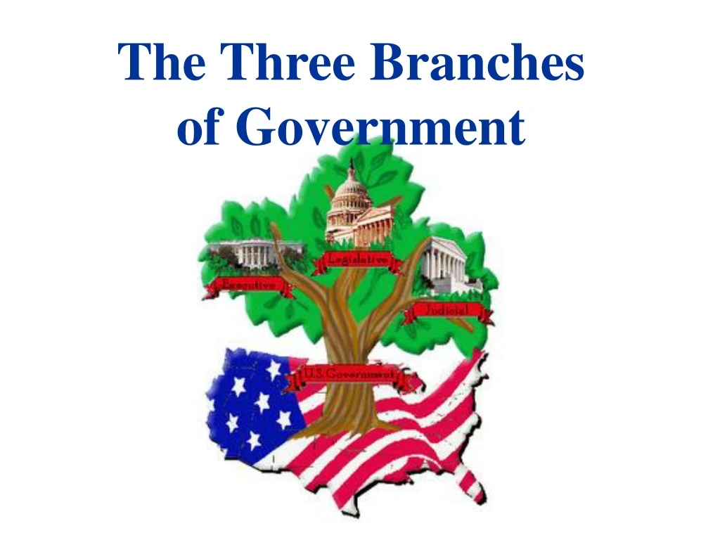 the three branches of government