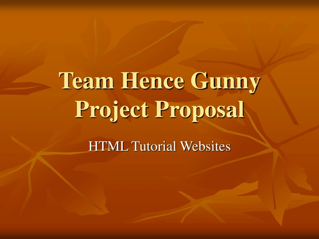 team hence gunny project proposal