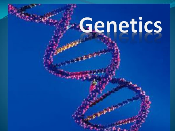 Genetics