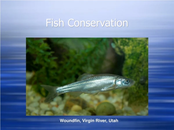 Fish Conservation