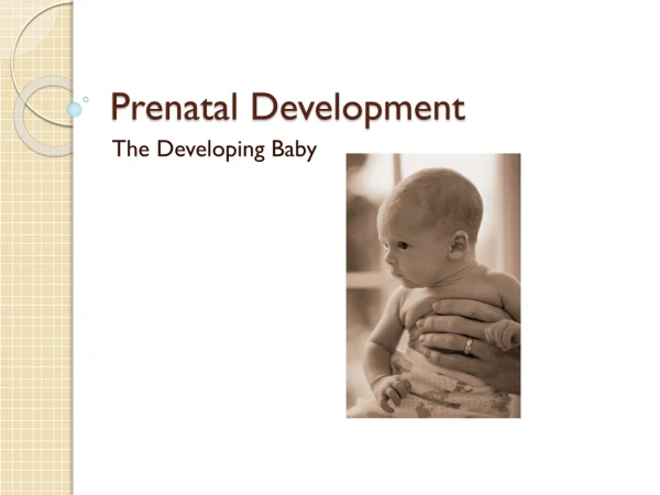 Prenatal Development