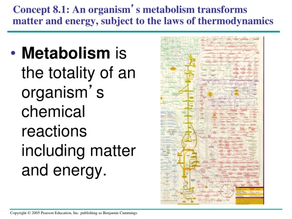 Metabolism  is the totality of an organism ’ s chemical reactions including matter and energy.