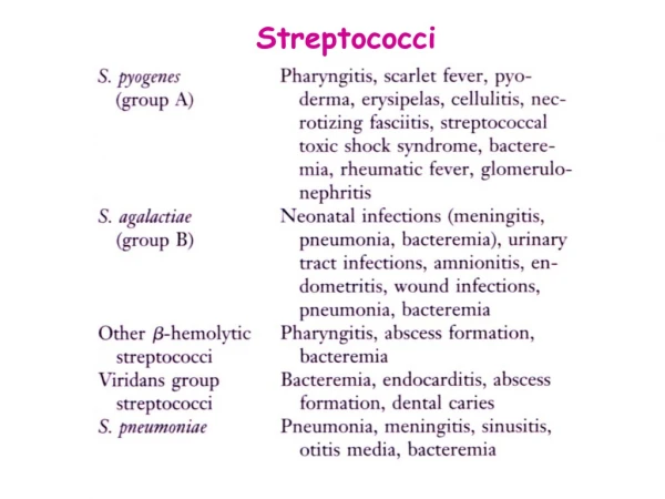 Streptococci