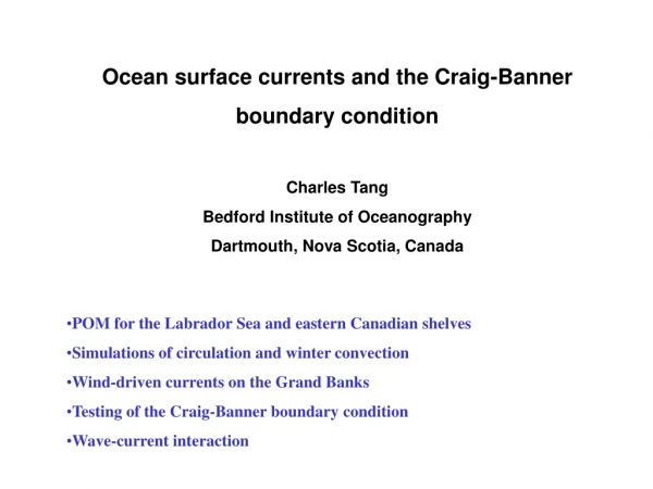 Ocean surface currents and the Craig-Banner  boundary condition Charles Tang