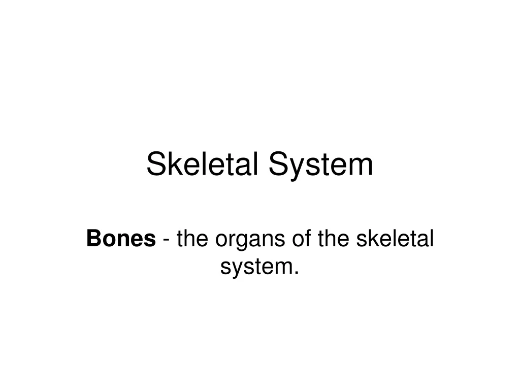 skeletal system