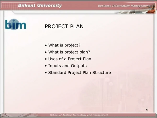 PROJECT PLAN