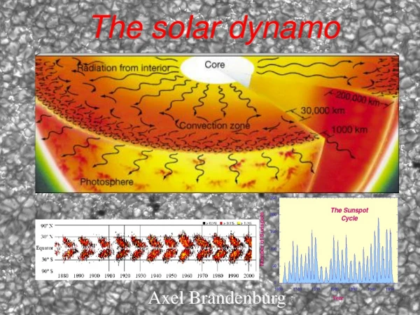 The solar dynamo