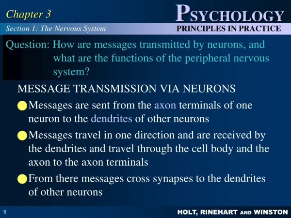 MESSAGE TRANSMISSION VIA NEURONS