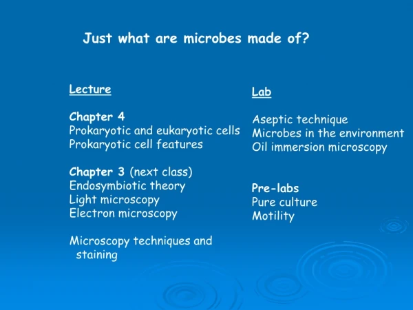 Just what are microbes made of?
