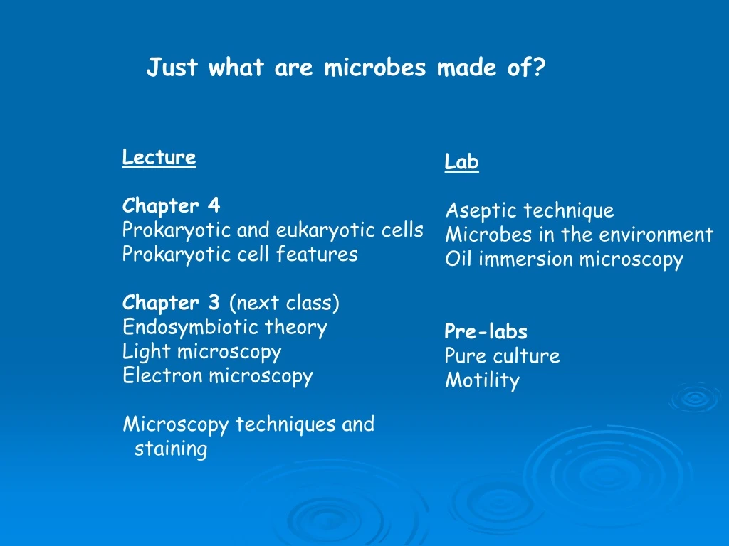 just what are microbes made of
