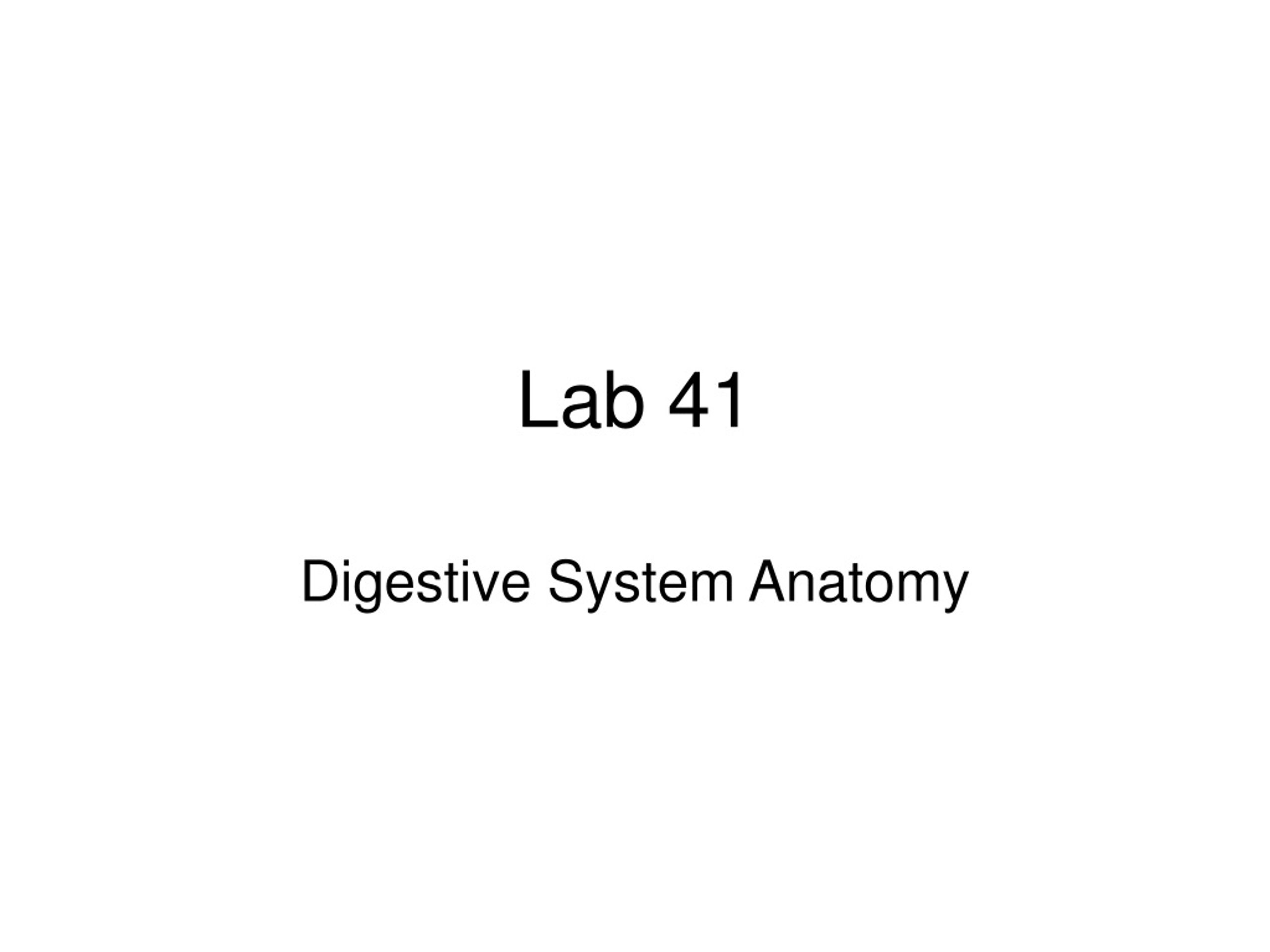 PPT - Digestive System Anatomy Lab Practical 2 PowerPoint Presentation ...
