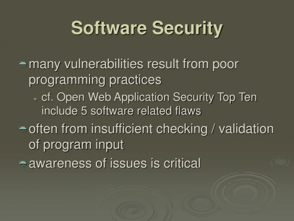 Software Security