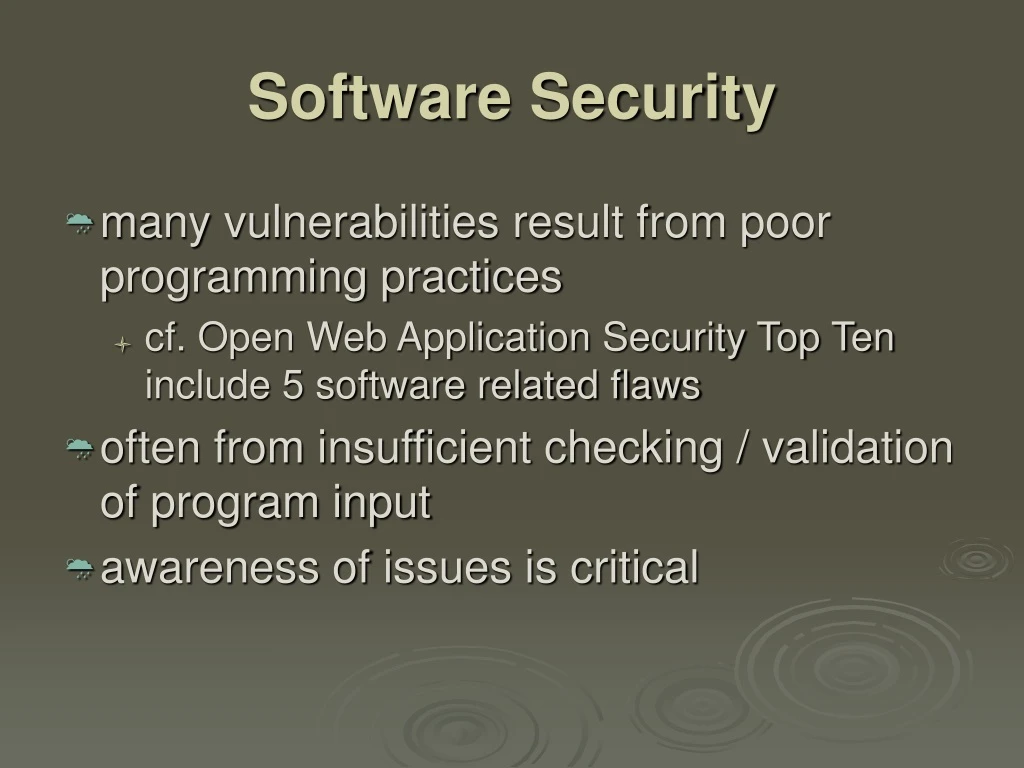 software security