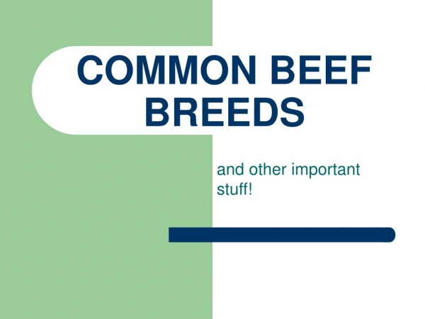 COMMON BEEF BREEDS