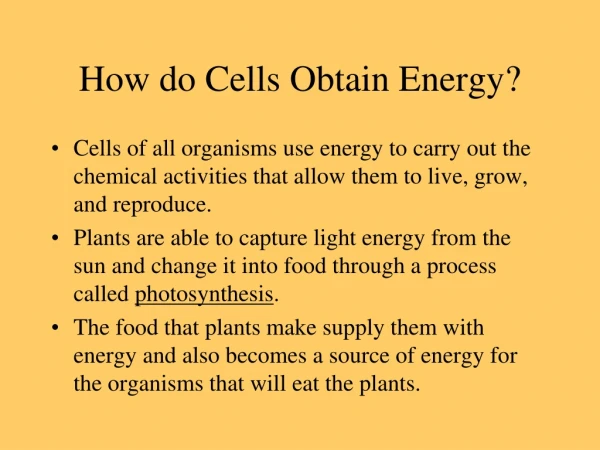 How do Cells Obtain Energy?