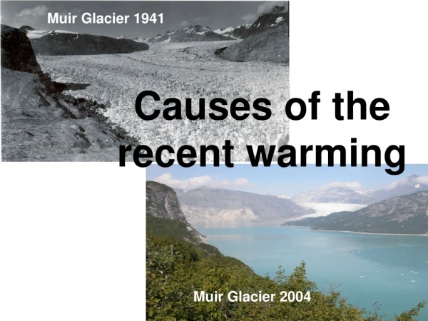 Causes of the  recent warming