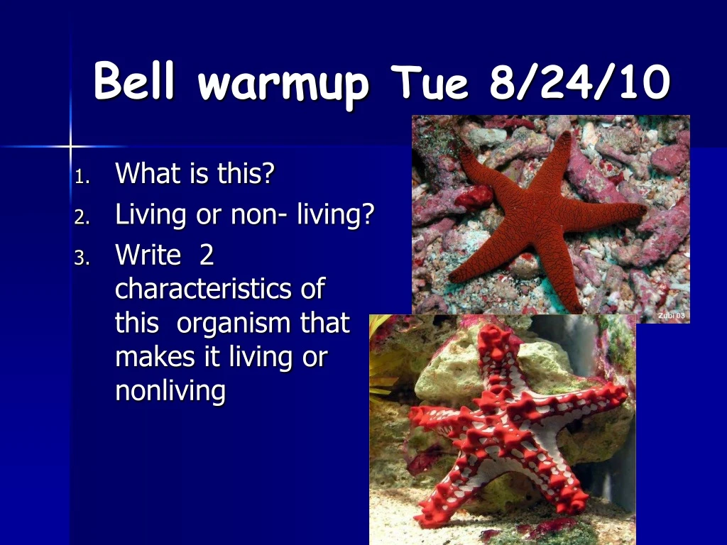 bell warmup tue 8 24 10