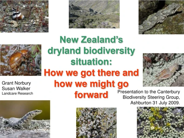 New Zealand’s dryland biodiversity situation:  How we got there and how we might go forward