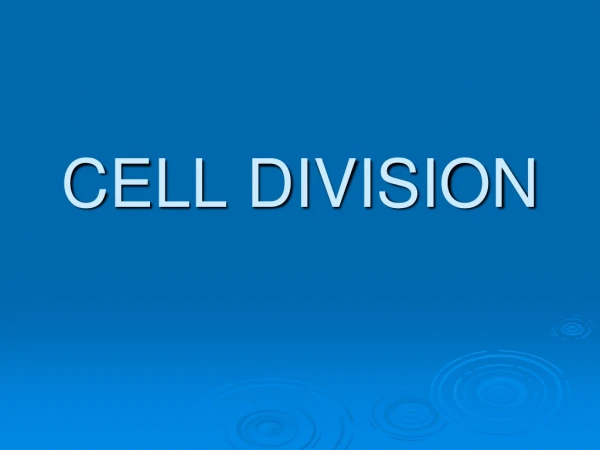 CELL DIVISION