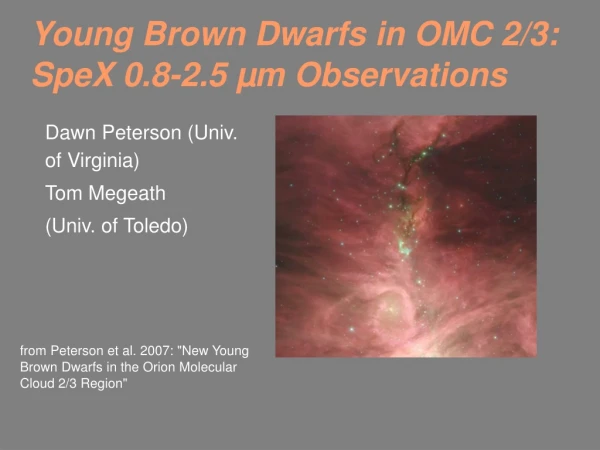 Young Brown Dwarfs in OMC 2/3: SpeX 0.8-2.5  µm  Observations