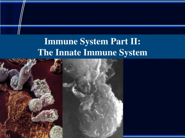 Immune System Part II:   The Innate Immune System