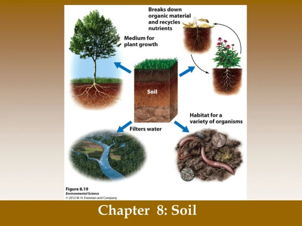 Chapter  8: Soil