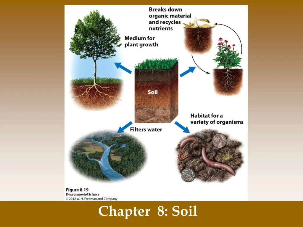 chapter 8 soil