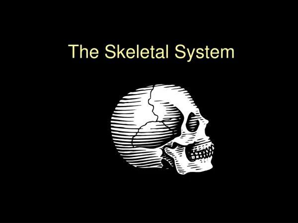 The Skeletal System