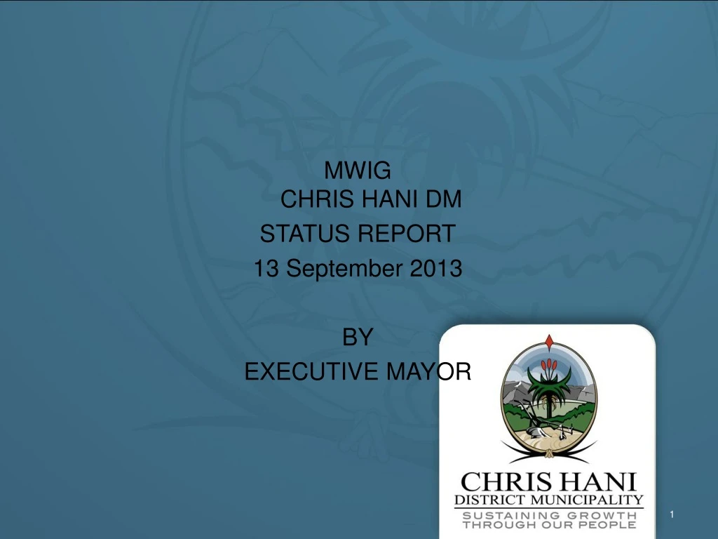 mwig chris hani dm status report 13 september