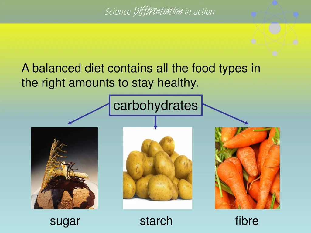 a balanced diet contains all the food types