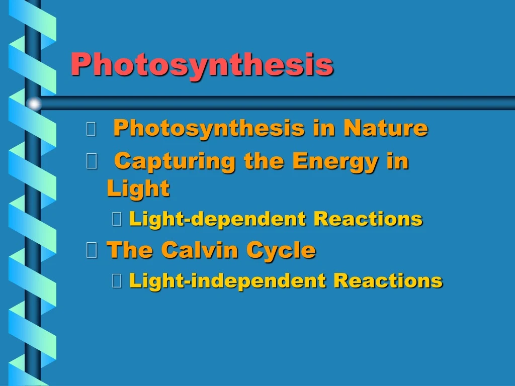 photosynthesis