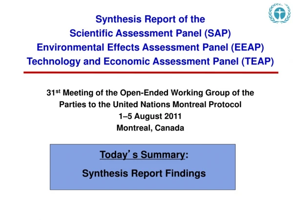 Synthesis Report of the  Scientific Assessment Panel (SAP)