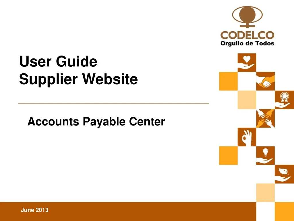 user guide supplier website