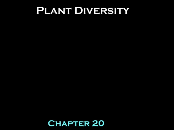 Plant Diversity