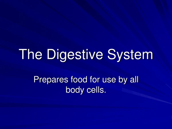 The Digestive System